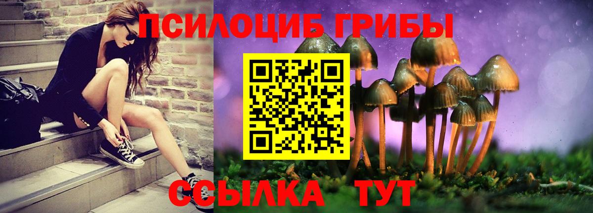 Псилоцибиновые грибы Magic Shrooms Балтийск