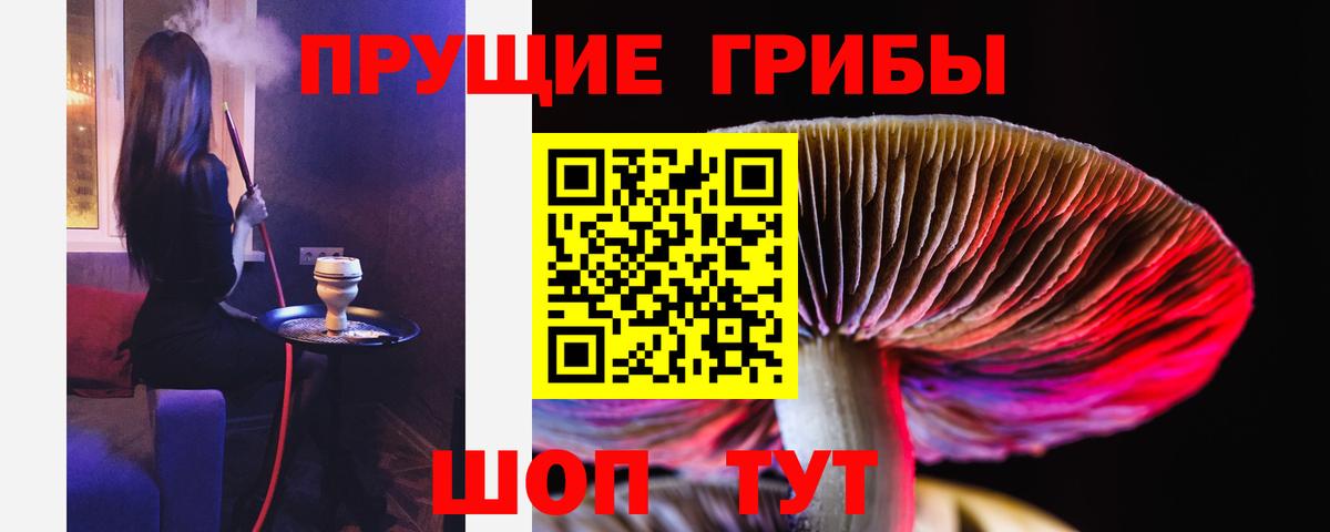 Псилоцибиновые грибы Psilocybe  Вход с VPN  Псилоцибиновые грибы GOLDEN TEACHER  Балтийск 