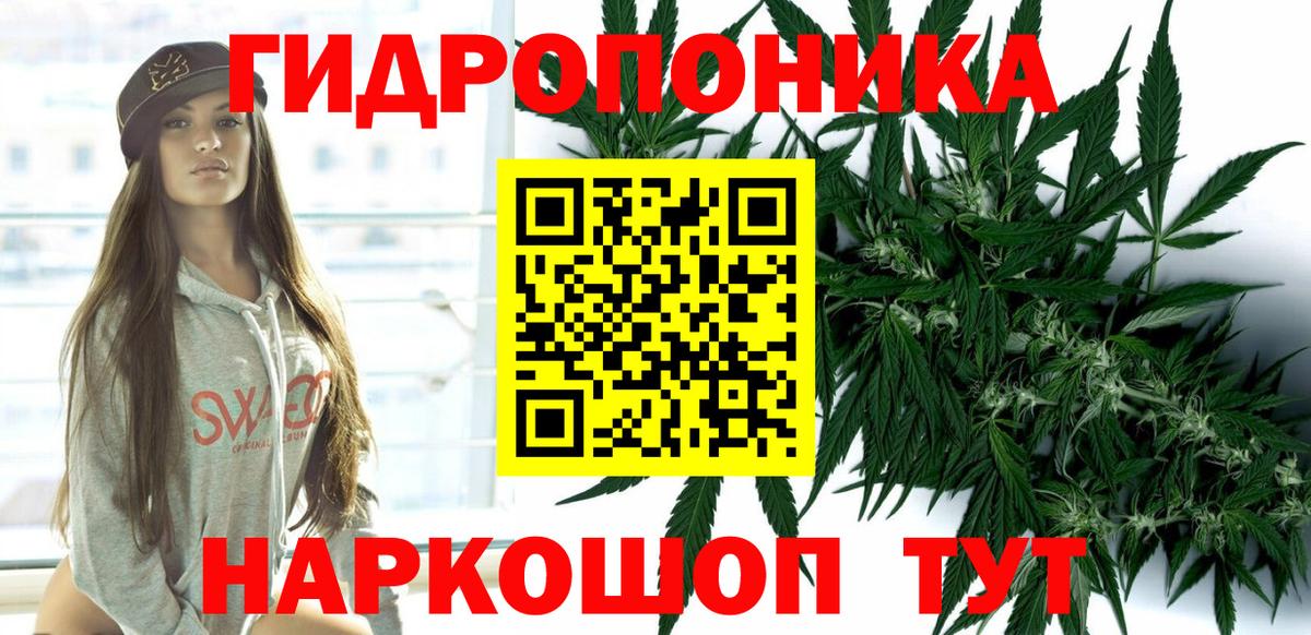 Конопля семена  Каннабис гибрид  Канабис LSD WEED  Балтийск  Вход с VPN 